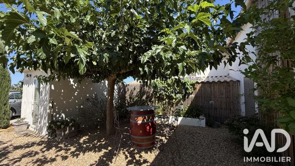 Maison à vendre 11 pièces 250 m² Montfrin