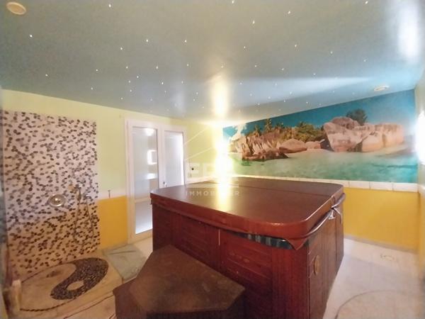 Maison T5 à vendre - CHITENAY - Beaux volumes entièrement rénovés, 2 Chbs, salle bien-être avec SPA (poss. 3ème Chb), dép./Grand garage.