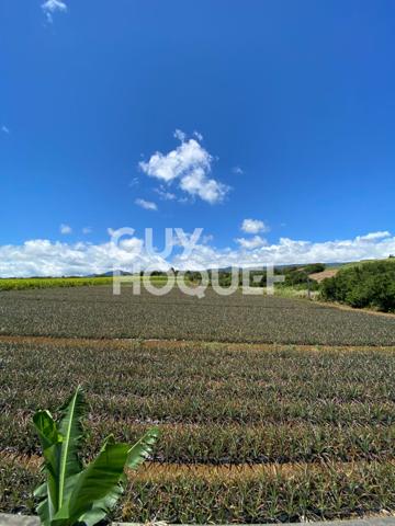 Maison F6 180m² à Bagatelle Sainte-Suzanne