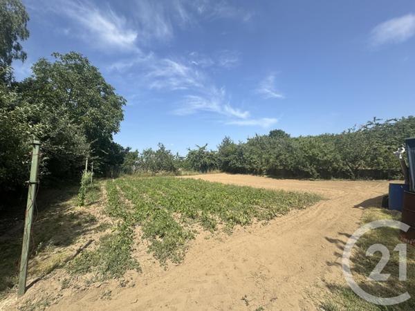 Maison à vendre  5 pièces - 122 m2 CHANTRIGNE - 53