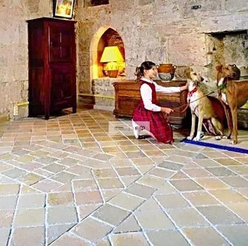 PUYLAROQUE – cœur de bastide, local en pierres 56 m² + cave voûtée