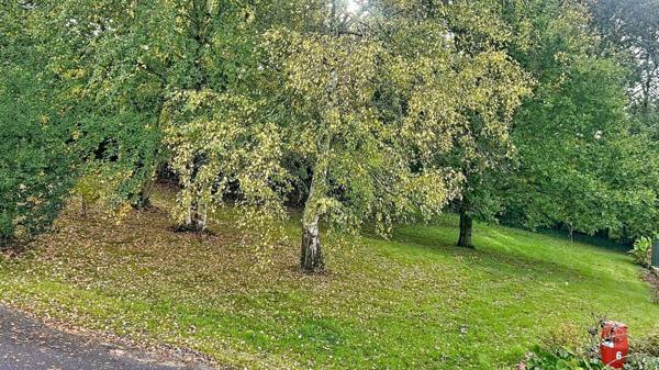 Opportunité à saisir rapidement