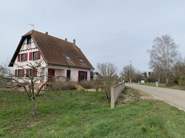 Location Baldenheim, bureau, locaux ou autre 1 025 € / mois C.C.*