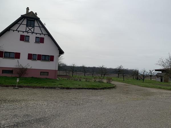 Location Baldenheim, bureau, locaux ou autre 1 025 € / mois C.C.*