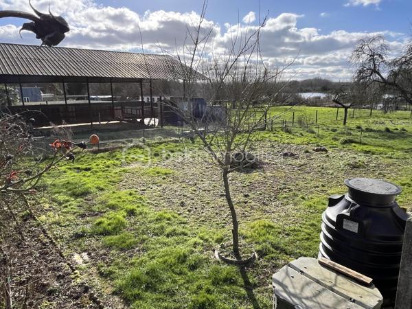 CORPS DE FERME AVEC HANGARS  ET PATURE

Amoureux de la nature, d'espace et de grands projets, cet ensemble immobilier est idéal  :  ce corps de ferme a un très gros potentiel, idéalement pour une activité équestre, artisanale ou projet familial en pleine nature ...

A proximité immédiate de l'autoroute A26, cette propriété dispose d'une maison principale de plain pied , de nombreuses dépendances, de deux  hangars, petite écurie et pâture, le tout sur presque 7000 m2 !

LA MAISON D'HABITATION  offre de beaux volumes  avec une pièce de vie de plus de 60 m2 avec insert bois, propice aux moments de convivialité,  , trois belles chambres de minimum 15 m2 chacune , une cuisine aménagée, une véranda exposée plein SUD permettant de profiter de la vue sur la cour, une salle de bain mixte, deux autres pièces pouvant faire office de bureau, chambre ou cellier, ainsi qu'une lingerie.

L'étage de 200 m2 est entièrement aménageable et permettrait ainsi de doubler la surface habitable, soit plus de 400 m2 au final !

L'EXTERIEUR : entièrement clos, avec une grande cour centrale, et accessible par trois entrées différentes (dont la principale avec portail motorisé ),  vous offre de multiples perspectives.
Vous y trouverez  : 

double garage avec portes manuelles, 
atelier,
ancienne étable ( environ 60 m2),
un hangar de 400 m2 avec petit espace mezzanine,
ancienne salle de traite,
cave extérieure,
un verger,
un hangar avec un box cheval et petit paddock et accès direct sur une PATURE de 2300 m2

Menuiseries bois double vitrage, chauffage au fuel, insert bois de 2019, assainissement individuel, rafraichissement à prévoir ...

Cet ensemble  s’adresse aussi bien aux passionnés d’équitation, qu’aux porteurs de projets nécessitant de grands volumes de stockage ou d’activité.

CONTACTEZ MOI POUR UNE VISITE