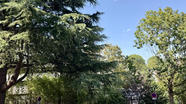 Appartement T4 avec balcon à Joué-lès-Tours