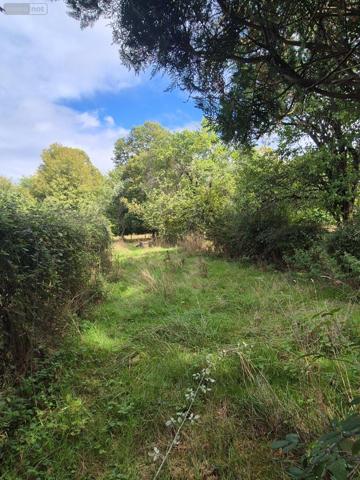 Maison à vendre à Saints en Puisaye dans l'Yonne (89520), ref : Ref 092