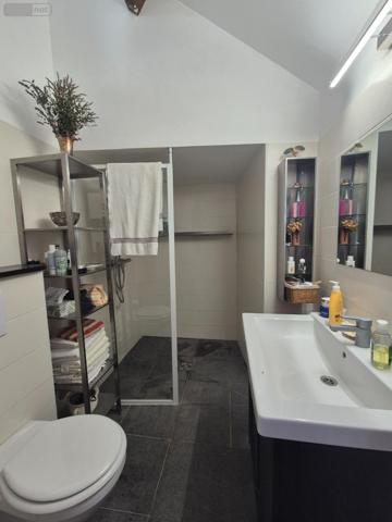 Maison à vendre à Saints en Puisaye dans l'Yonne (89520), ref : Ref 092