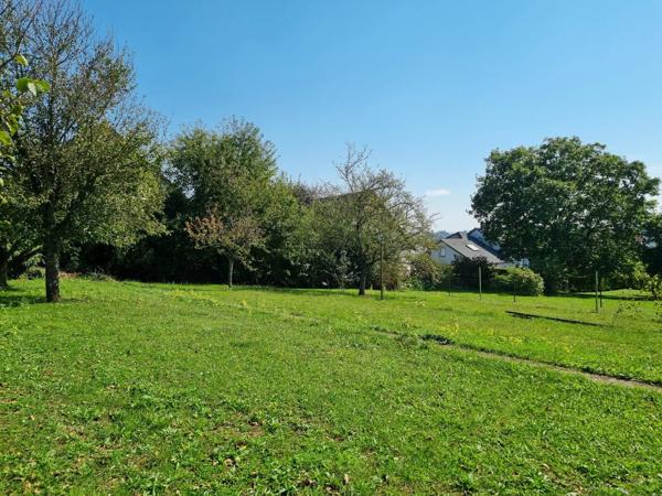 À Vendre : Terrain Constructible à Sarrebourg