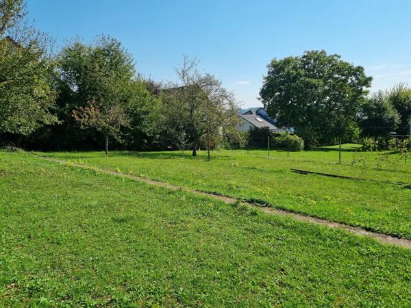 À Vendre : Terrain Constructible à Sarrebourg