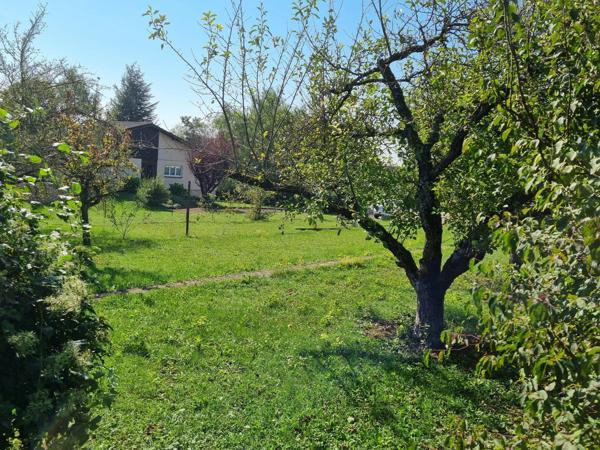À Vendre : Terrain Constructible à Sarrebourg