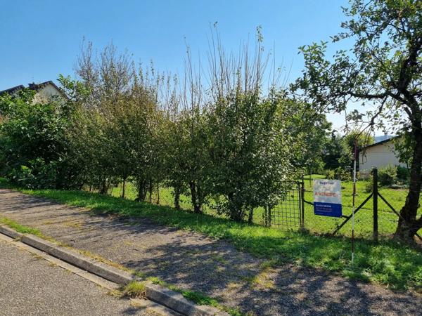 À Vendre : Terrain Constructible à Sarrebourg
