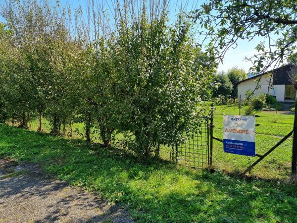 À Vendre : Terrain Constructible à Sarrebourg