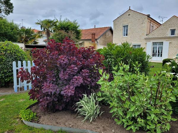 ROCHEFORT maison de charme de 178 m² de type 5 - dépendance - Garage - jardin - Piscine et véranda