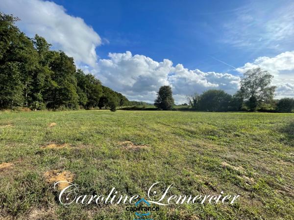 Maison à vendre 4 pièces proche de CONNERRE (72)FERMETTE en campagne isolée de 60 m² habitables 2 chambres avec un potentiel evolutif sur dependances, 1 hectare de terrain avec ruisseau