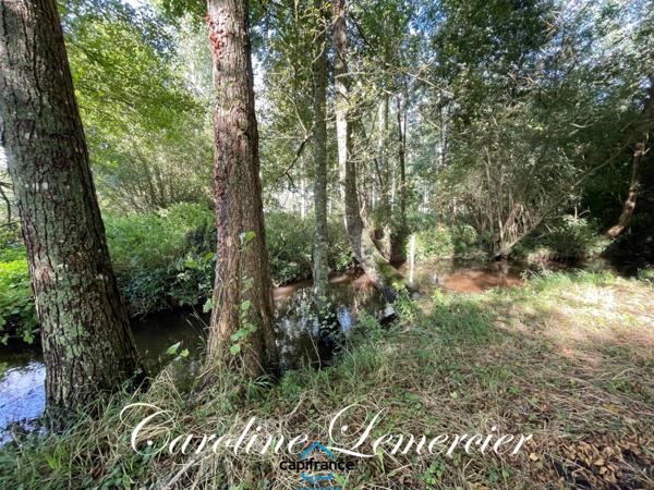 Maison à vendre 4 pièces proche de CONNERRE (72)FERMETTE en campagne isolée de 60 m² habitables 2 chambres avec un potentiel evolutif sur dependances, 1 hectare de terrain avec ruisseau