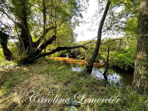 Maison à vendre 4 pièces proche de CONNERRE (72)FERMETTE en campagne isolée de 60 m² habitables 2 chambres avec un potentiel evolutif sur dependances, 1 hectare de terrain avec ruisseau