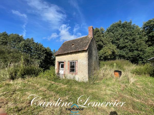 Maison à vendre 4 pièces proche de CONNERRE (72)FERMETTE en campagne isolée de 60 m² habitables 2 chambres avec un potentiel evolutif sur dependances, 1 hectare de terrain avec ruisseau