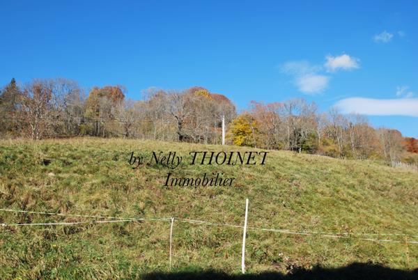 Égliseneuve-d'Entraigues (63850) Dépt.63, EGLISENEUVE D'ENTRAIGUES, TERRAIN à bâtir de 2547 m2