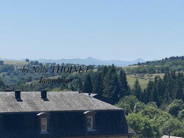 Égliseneuve-d'Entraigues (63850) Dépt.63, EGLISENEUVE D'ENTRAIGUES, TERRAIN à bâtir de 2547 m2