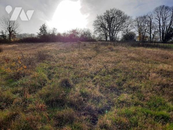Terrain de 4 807m², IVOY-LE-PRE