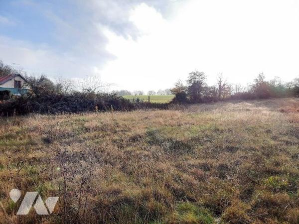 Terrain de 4 807m², IVOY-LE-PRE