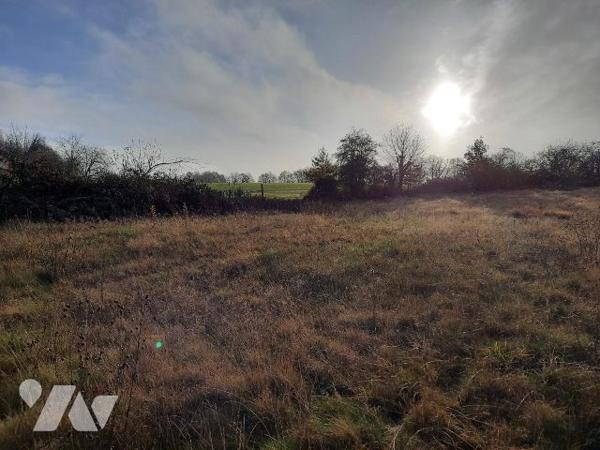Terrain de 4 807m², IVOY-LE-PRE