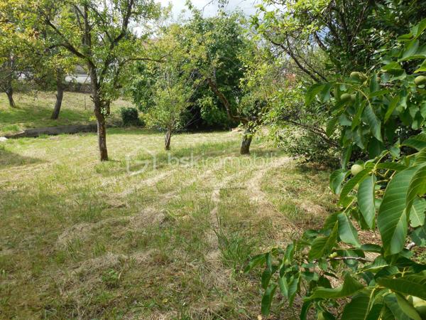 Terrain de 1 271 m²