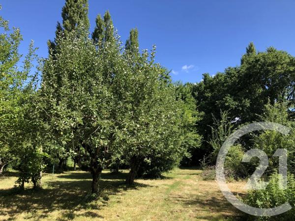 Maison à vendre  6 pièces - 190 m 2   MONTPON MENESTEROL  - 24