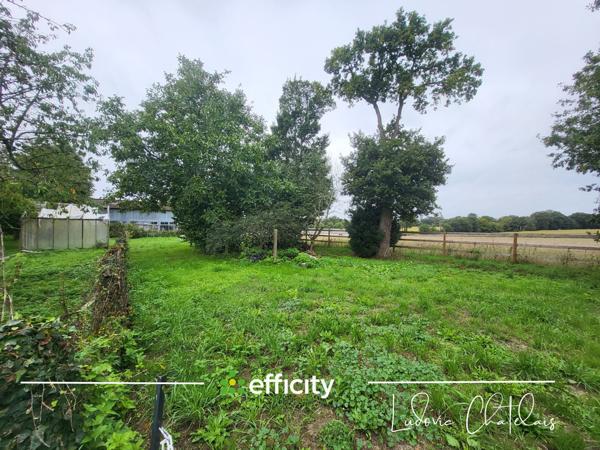 Appartement 3 pièces - 74 m²