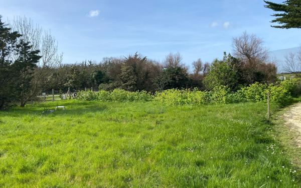 Terrain à vendre    Saint-Pierre-d'Oléron