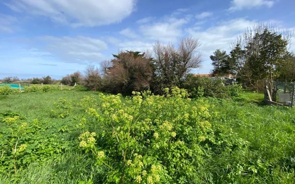 Terrain à vendre    Saint-Pierre-d'Oléron