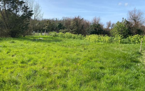 Terrain à vendre    Saint-Pierre-d'Oléron