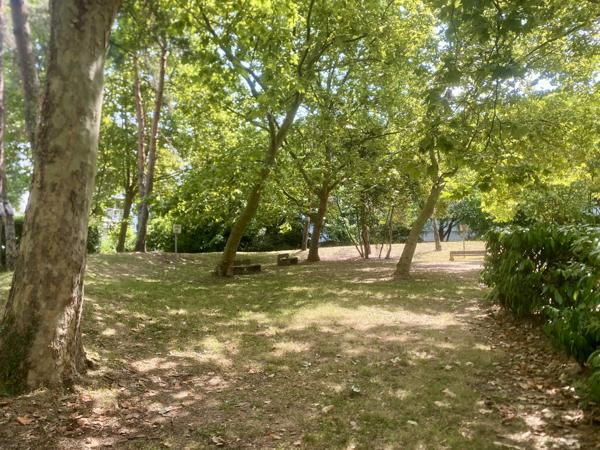 Appartement 3 pièces - 85 m²