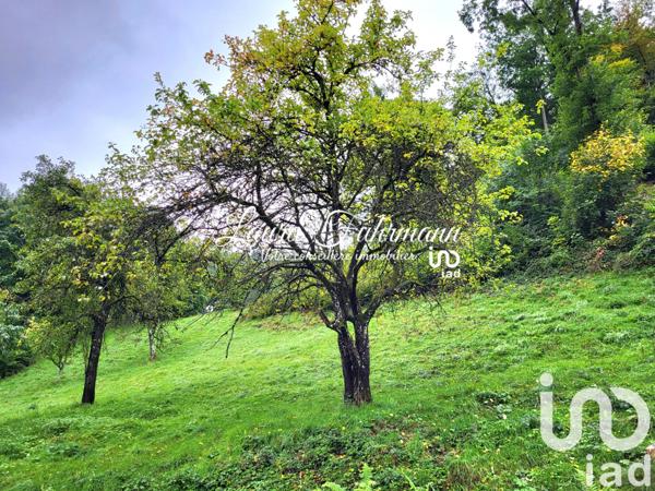 Maison à vendre 5 pièces 149 m² Fréland