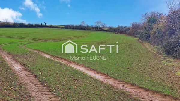 Terrain constructible de 12 700m², offrant la possibilité d'aménager jusqu'à 9 lots.