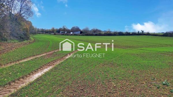 Terrain constructible de 12 700m², offrant la possibilité d'aménager jusqu'à 9 lots.