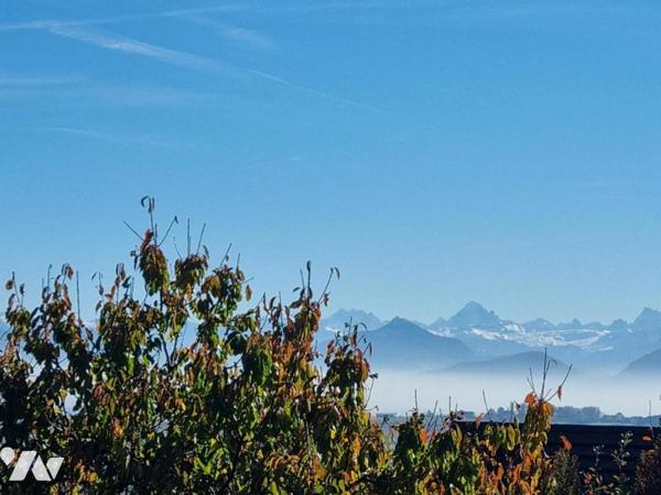 Vente Maison à Thoiry