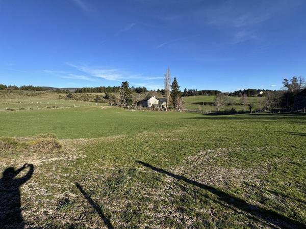 Vente / Terrain constructible