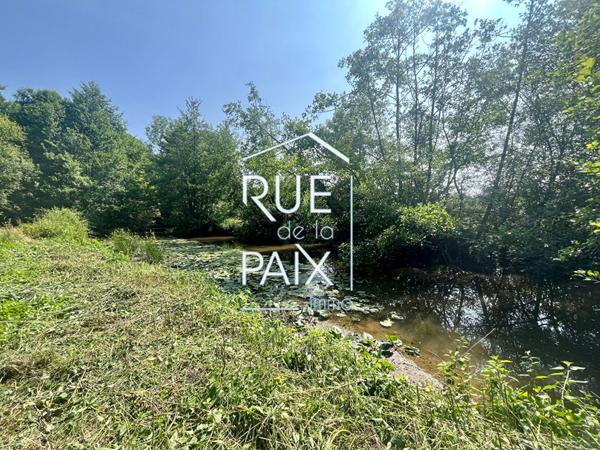 79130 AZAY SUR THOUET Maison en pierre avec piscine