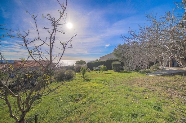 Achat terrain Brando - 780 m² - 255 000 €