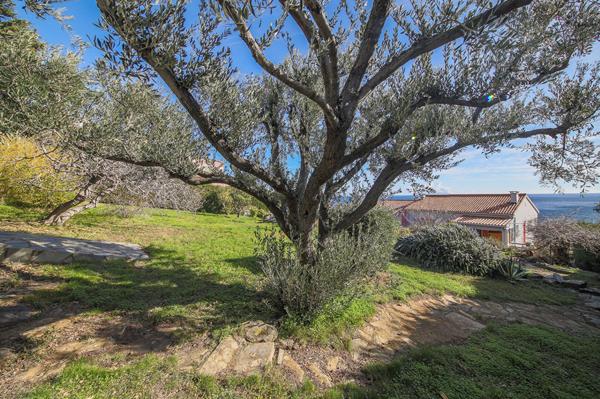 Achat terrain Brando - 780 m² - 255 000 €