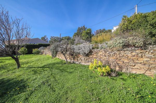 Achat terrain Brando - 780 m² - 255 000 €