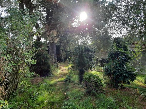 Terrain à Batir à vendre à Le Fenouiller en Vendée (85800), ref : 85091-5164