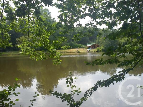 Terrain à vendre  13145 m2 VILLEBRET - 03