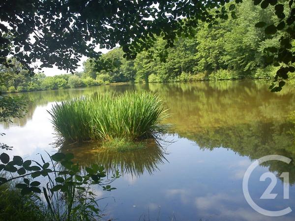 Terrain à vendre  13145 m2 VILLEBRET - 03