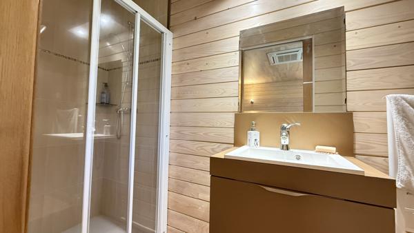 Bellerive-sur-Allier (03700) Nue-propriété Monsieur 75 ans - Dame 76 ans - Superbe maison contemporaine intérieur style chalet