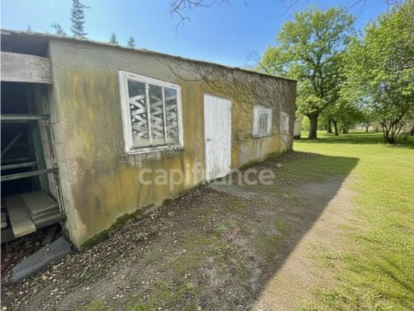 Une maison à réinventer au cœur d’un grand terrain arboré