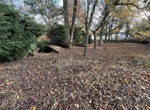 Une maison à réinventer au cœur d’un grand terrain arboré