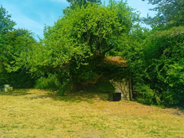 Maison en bord de rivière avec son parc